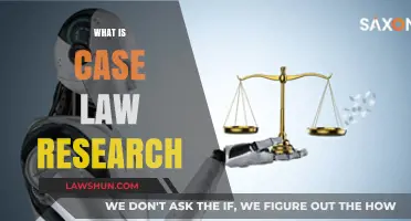 Case Law Research: Understanding Judicial Decisions
