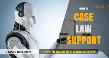 Case Law Support: Understanding Legal Precedent