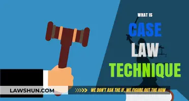 Understanding Case Law: Techniques and Applications