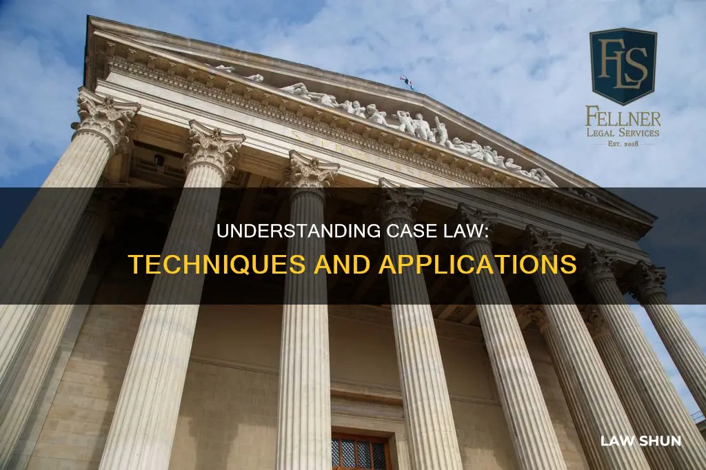 what is case law technique