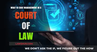 Case Management: Streamlining Court Procedures