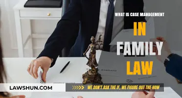 Case Management: Family Law's Key to Success