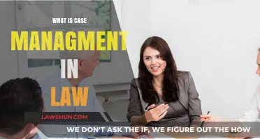 Case Management: Streamlining Legal Work