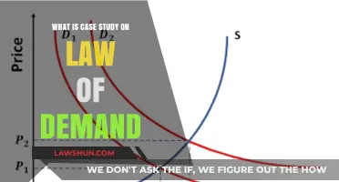 Demand Law: A Case Study Analysis