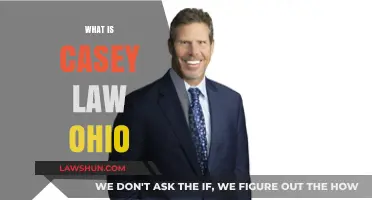 Understanding Casey Law in Ohio: Key Insights and Implications