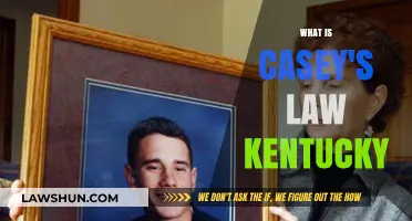 Understanding Casey's Law in Kentucky: A Comprehensive Guide