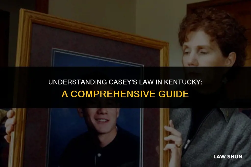 what is casey