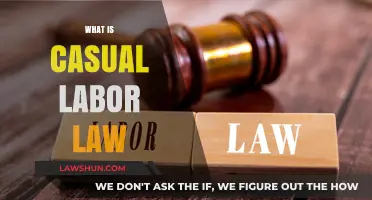 Understanding Casual Labor Law: Rights, Regulations, and Worker Protections