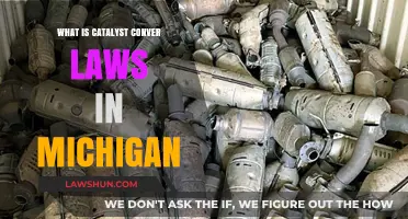 Understanding Michigan's Catalyst Converter Laws: A Comprehensive Guide
