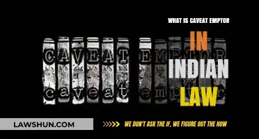 Understanding Caveat Emptor: Indian Law's Buyer Beware Rule