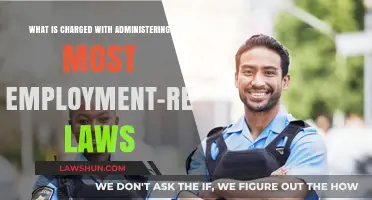 Understanding the Agency Responsible for Enforcing Employment Laws