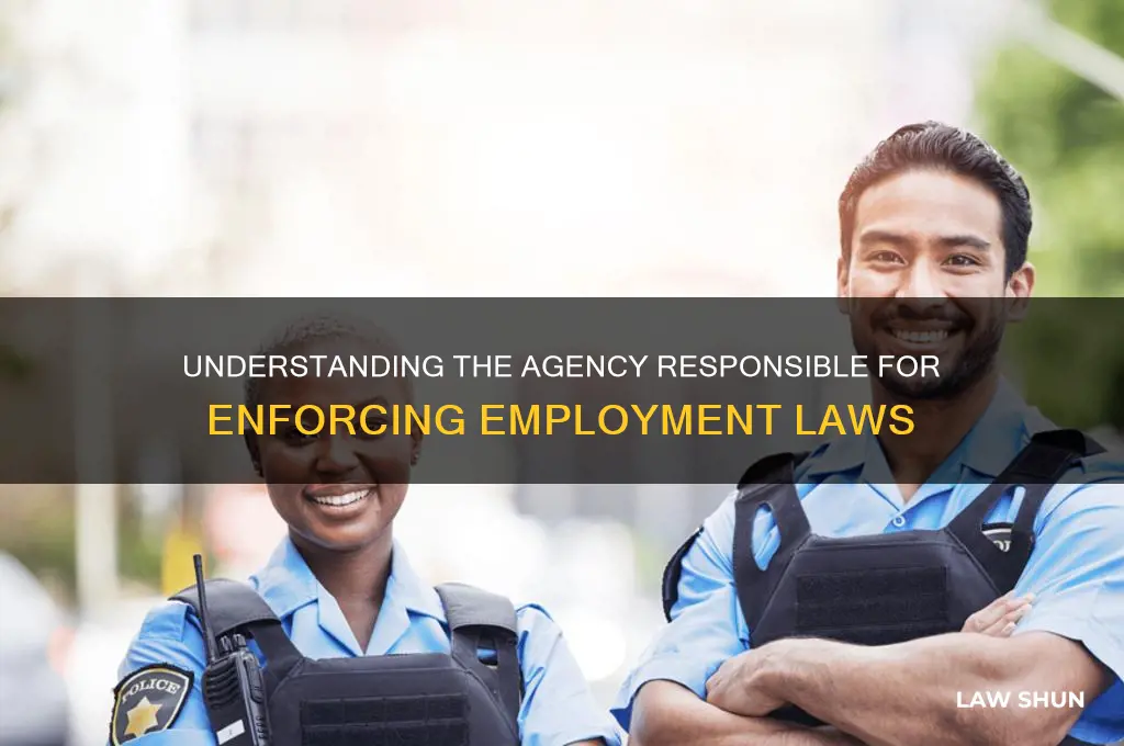 what is charged with administering most employment-related laws