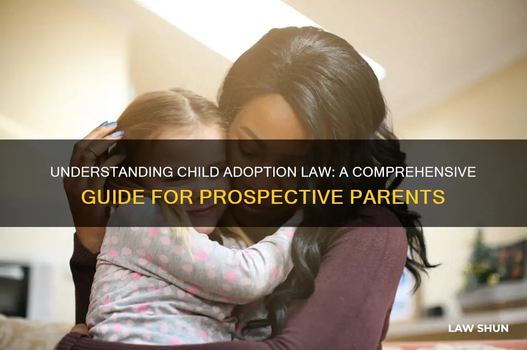 what is child adoption law