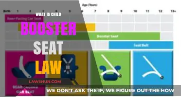Understanding Child Booster Seat Laws: Safety, Requirements, and Compliance