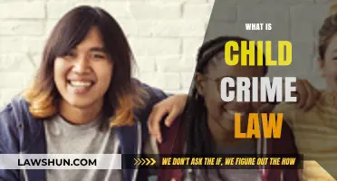 Understanding Child Crime Law: Protecting Minors and Legal Consequences