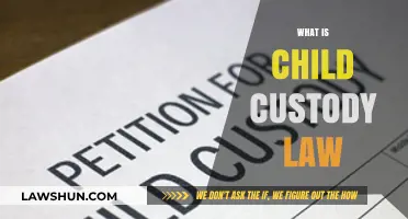 Understanding Child Custody Law: Rights, Responsibilities, and Legal Processes