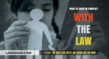 Understanding Child in Conflict with the Law: Causes, Rights, and Rehabilitation