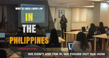 Understanding Child Labor Laws in the Philippines: Rights and Protections