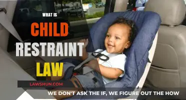 Understanding Child Restraint Laws: Safety, Compliance, and Legal Requirements