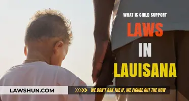 Understanding Louisiana's Child Support Laws: A Comprehensive Guide for Parents