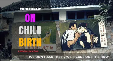 Understanding China's Childbirth Laws: Policies, Regulations, and Family Planning