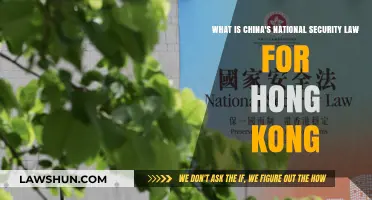 Understanding China's National Security Law: Impact on Hong Kong's Future