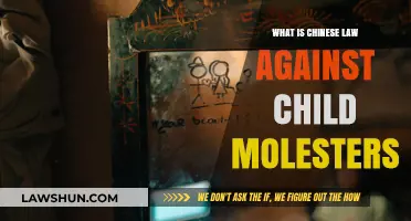China's Legal Stance: Harsh Penalties for Child Molestation Explained