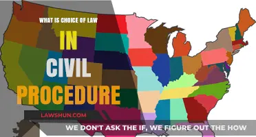 Understanding Choice of Law in Civil Procedure: Key Principles Explained