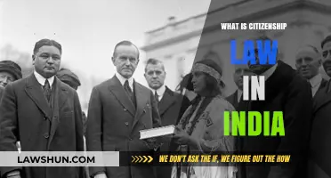 Understanding Indian Citizenship Law