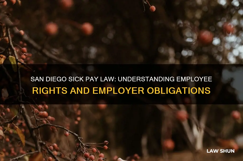 what is city of san diego law regarding sick pay