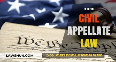 Understanding Civil Appellate Law: Appeals, Procedures, and Legal Strategies
