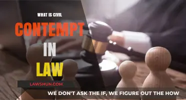 Understanding Civil Contempt: Legal Consequences and Court Enforcement Explained