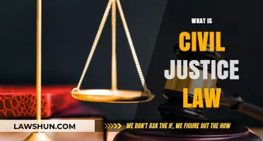 Understanding Civil Justice Law: Rights, Remedies, and Legal Processes Explained