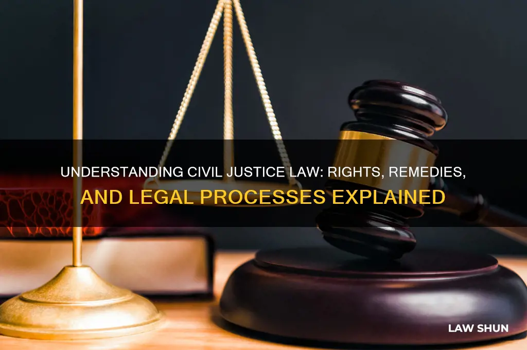 Understanding Civil Justice Law: Rights, Remedies, And Legal Processes ...