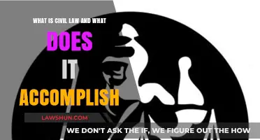 Understanding Civil Law: Its Purpose, Function, and Impact on Society