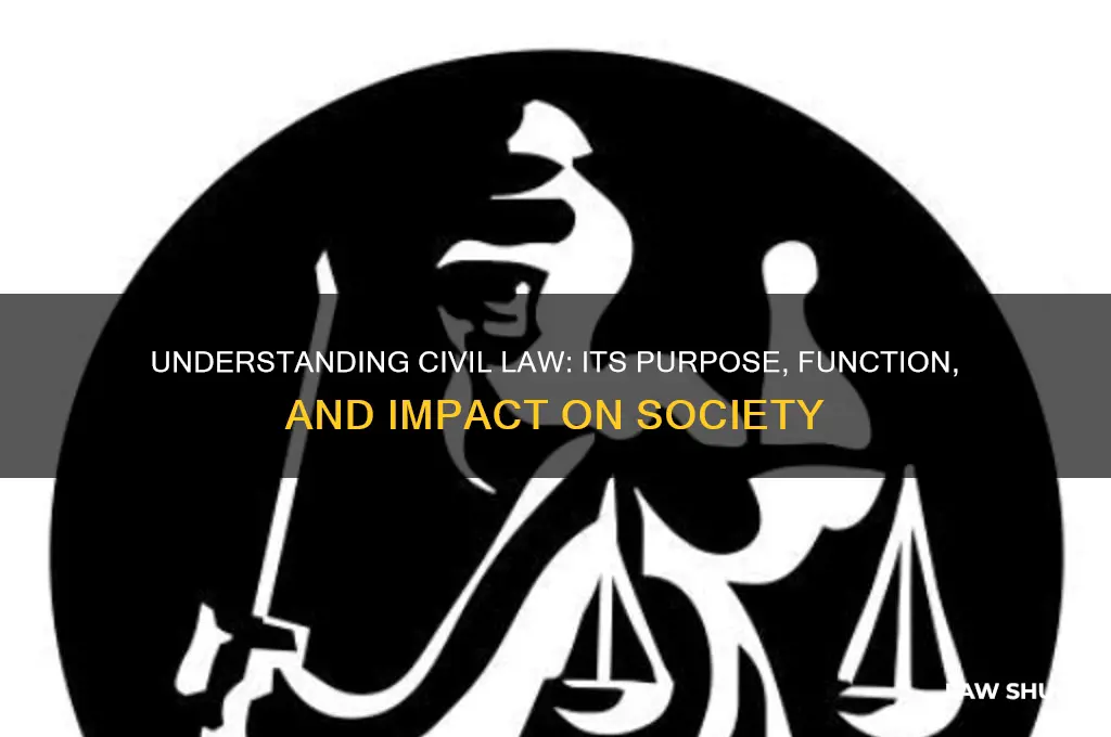 what is civil law and what does it accomplish