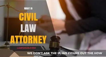 Understanding Civil Law Attorneys: Roles, Responsibilities, and Legal Expertise