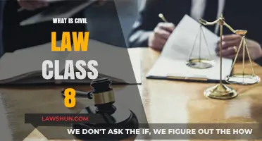 Understanding Civil Law: A Comprehensive Guide for Class 8 Students