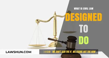 Understanding Civil Law: Purpose, Function, and Societal Impact Explained