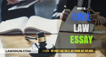 Understanding Civil Law: A Comprehensive Essay Guide for Beginners