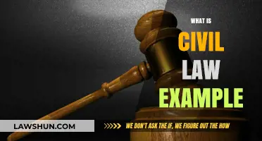 Understanding Civil Law: Key Examples and Practical Applications Explained