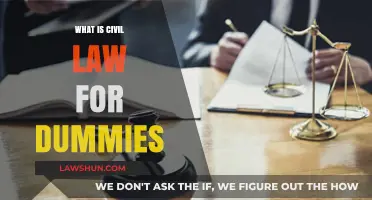 Understanding Civil Law Basics: A Simple Guide for Beginners