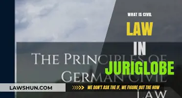 Understanding Civil Law in Juriglobe: Key Principles and Applications