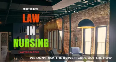 Understanding Civil Law in Nursing: Responsibilities, Rights, and Patient Care