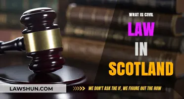 Understanding Scotland's Civil Law: Key Principles and Practices Explained