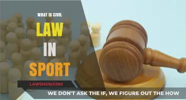 Understanding Civil Law's Role in Sports Disputes and Regulations