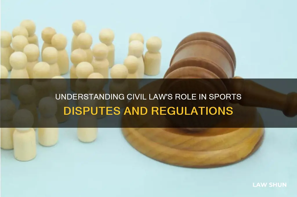 what is civil law in sport