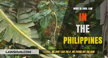 Understanding Civil Law in the Philippines: Key Principles and Applications