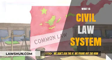 Understanding the Civil Law System: Principles, Origins, and Global Influence