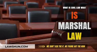 Understanding Civil Law vs. Martial Law: Key Differences Explained